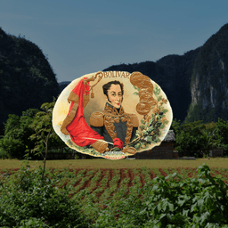 Puros Bolívar cubanos