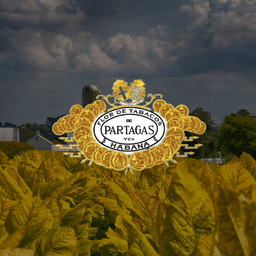 Puros Partagás cubanos