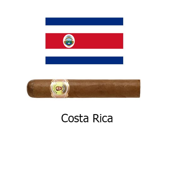 Bolivar Royal Corona vista 6