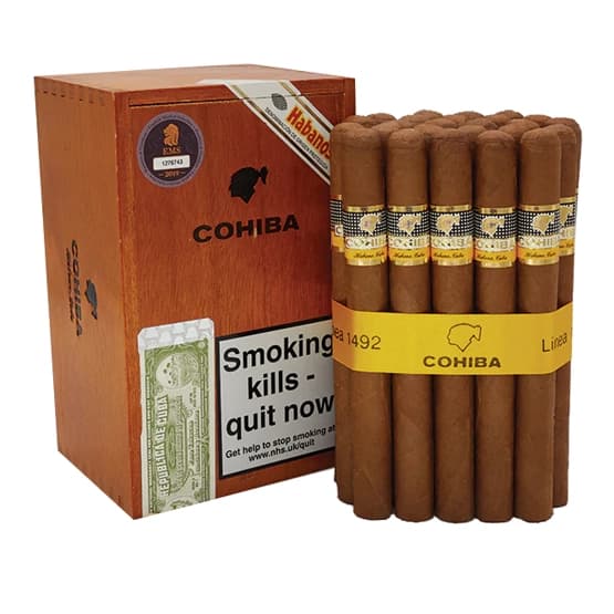 Cohiba Siglo V vista 2