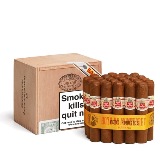 Hoyo De Monterrey Petit Robusto vista 2
