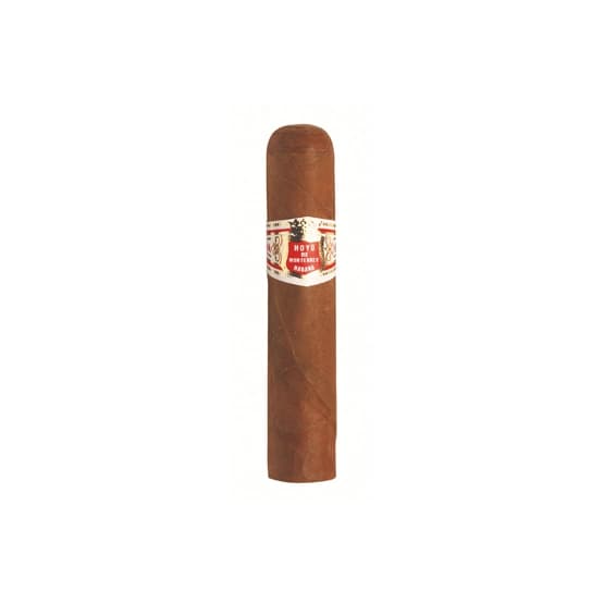 Hoyo De Monterrey Petit Robusto vista 1