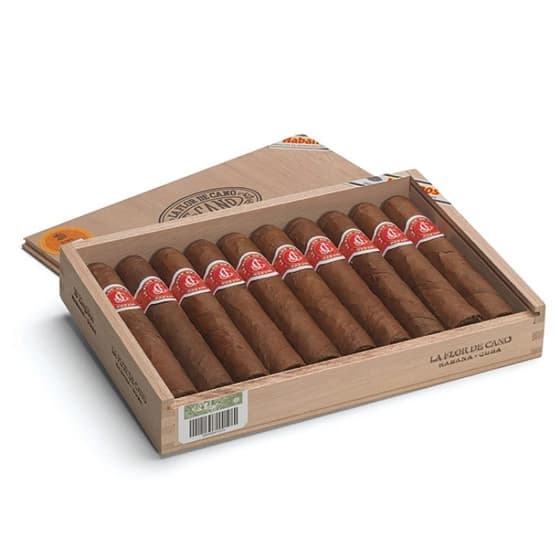 La Flor de Cano Elegidos vista 2