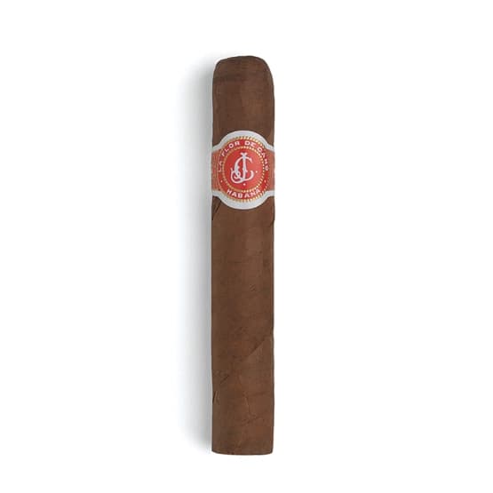 La Flor de Cano Elegidos vista 1