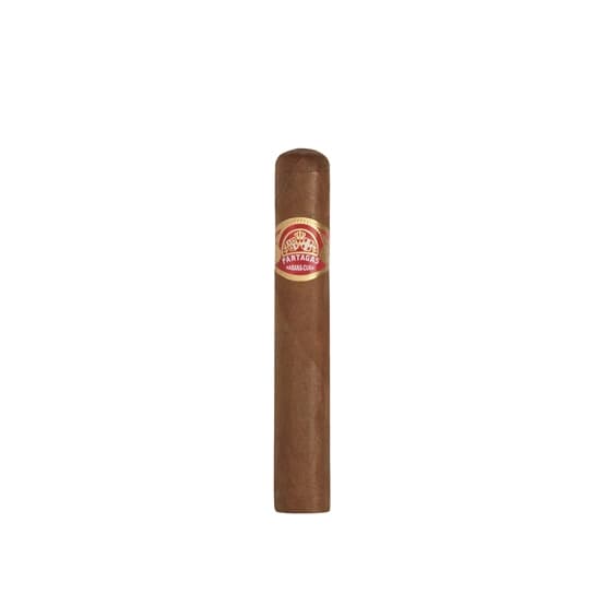 Partagas Shorts
