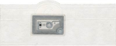 Trinidad Edición Limitada band